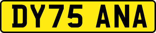DY75ANA