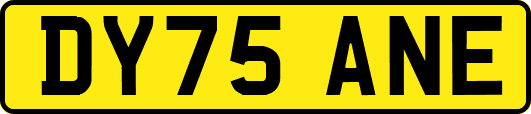DY75ANE