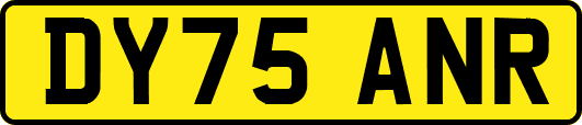 DY75ANR