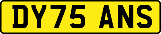 DY75ANS