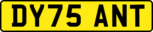 DY75ANT