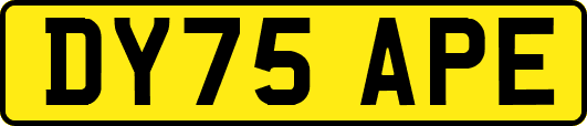 DY75APE