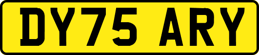 DY75ARY