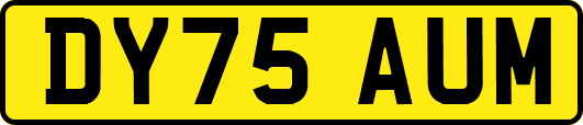 DY75AUM