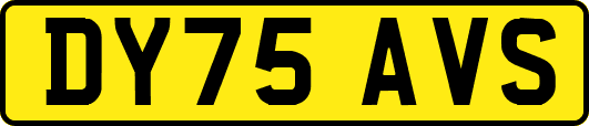 DY75AVS