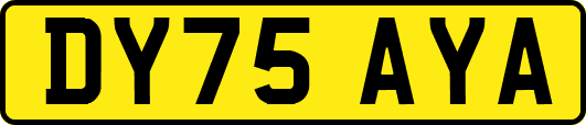 DY75AYA