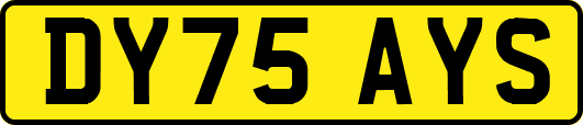 DY75AYS