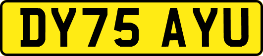 DY75AYU