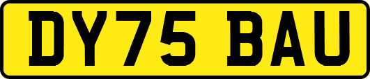 DY75BAU