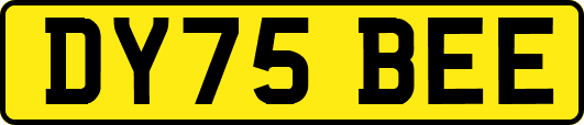 DY75BEE