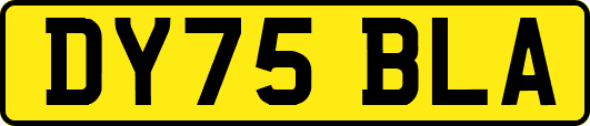DY75BLA