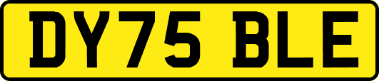 DY75BLE