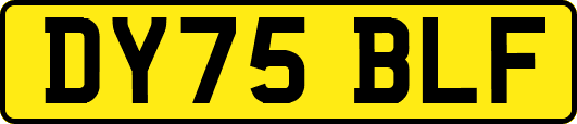 DY75BLF