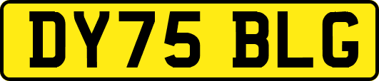 DY75BLG