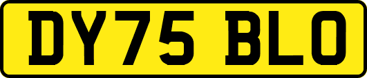 DY75BLO