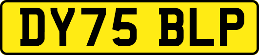 DY75BLP