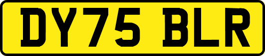 DY75BLR