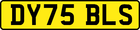 DY75BLS