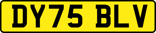 DY75BLV