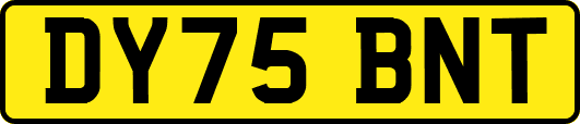 DY75BNT