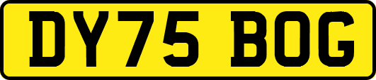 DY75BOG