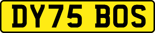 DY75BOS