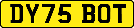 DY75BOT