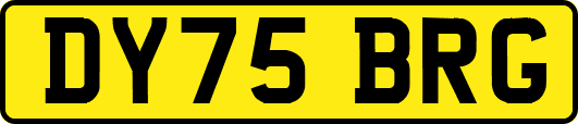 DY75BRG