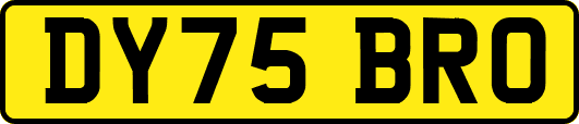 DY75BRO