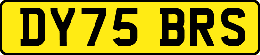 DY75BRS
