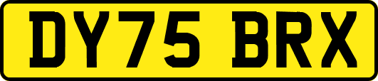 DY75BRX