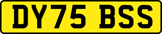 DY75BSS