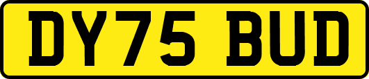 DY75BUD