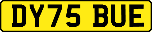 DY75BUE