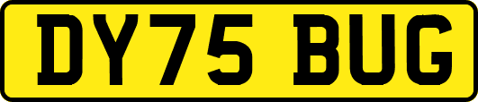 DY75BUG