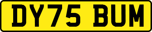 DY75BUM