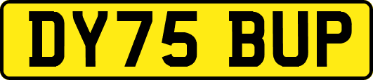 DY75BUP