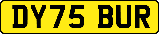 DY75BUR