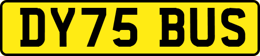 DY75BUS