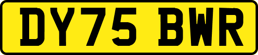 DY75BWR