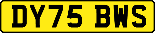 DY75BWS