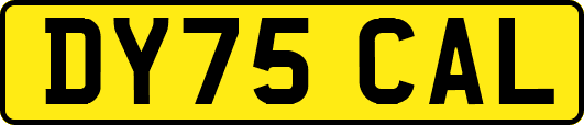 DY75CAL
