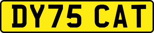 DY75CAT