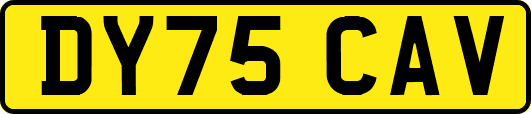 DY75CAV