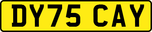DY75CAY