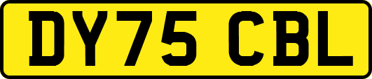 DY75CBL