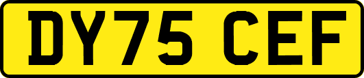 DY75CEF