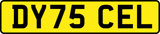 DY75CEL