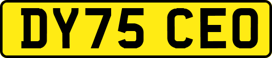 DY75CEO