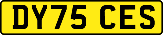 DY75CES